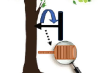 Variable associations of annual biomass